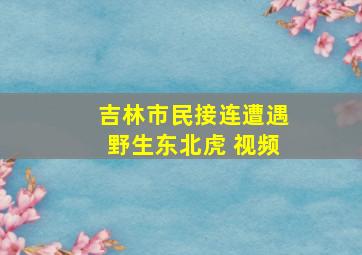 吉林市民接连遭遇野生东北虎 视频